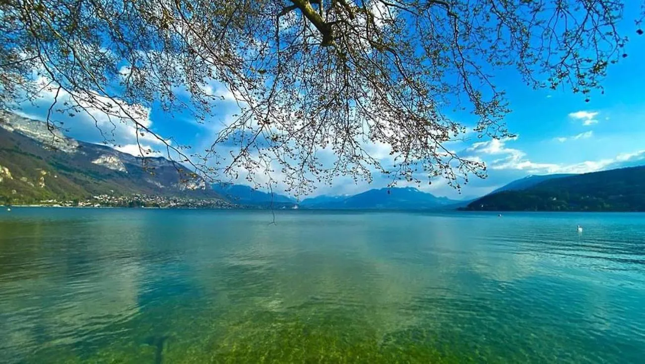 L'Echappee Du 36 - 4 Chambres Dans Le Triangle D'Or A 100M Du Lac, Parking Gratuit Annecy