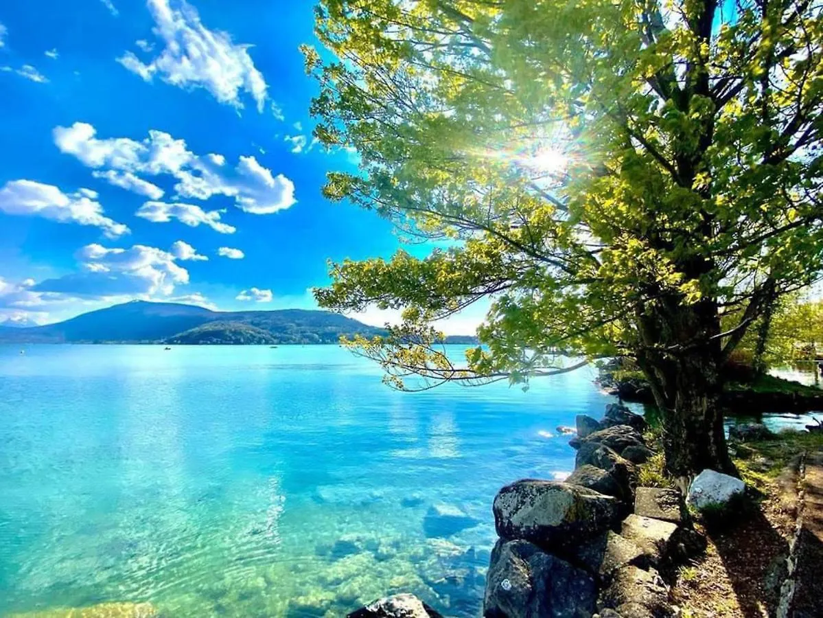 L'Echappee Du 36 - 4 Chambres Dans Le Triangle D'Or A 100M Du Lac, Parking Gratuit Annecy 0*,
