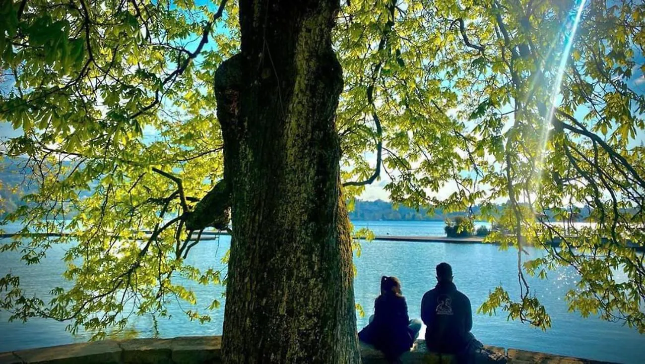 Apartment L'Echappee Du 36 - 4 Chambres Dans Le Triangle D'Or A 100M Du Lac, Parking Gratuit Annecy