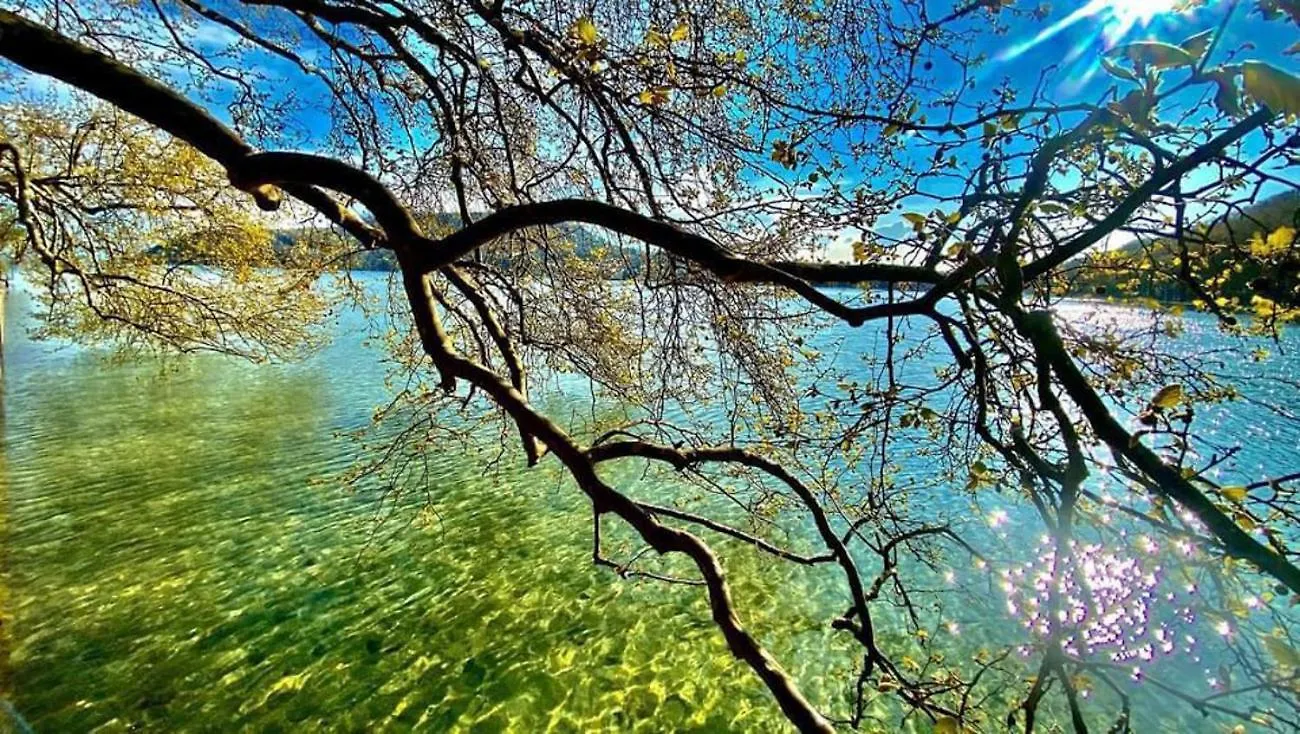 L'Echappee Du 36 - 4 Chambres Dans Le Triangle D'Or A 100M Du Lac, Parking Gratuit Annecy France
